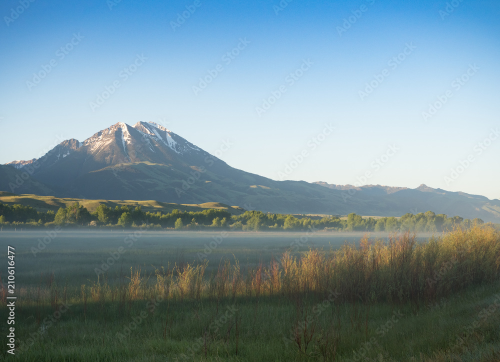 Sunlit Snowy Peak and Valley with Lingering Fog. Brown shrubs are in the foreground and blue sky overhead. Sunlit Snowy Peak and Valley with Lingering Fog. Brown shrubs are in the foreground and blue sky overhead.