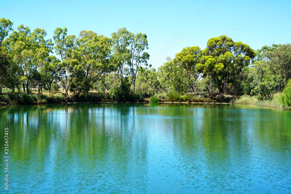 Large pond in beautiful natural Australian bush setting.