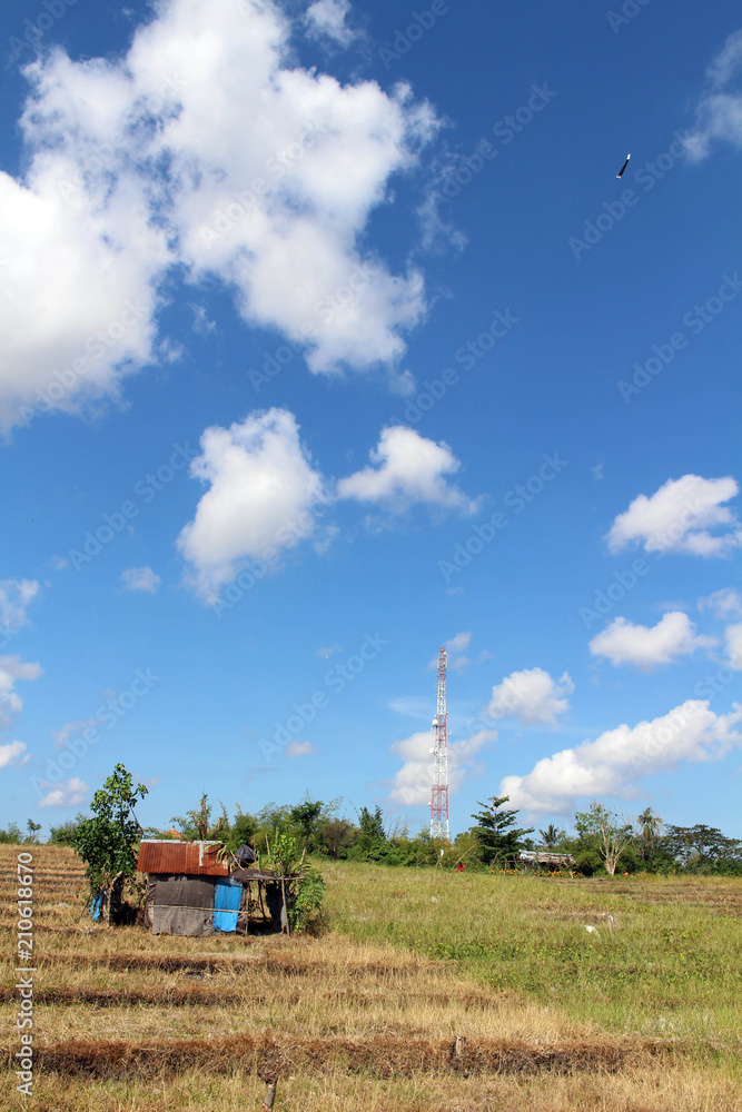 Fototapeta premium The typical countryside view of Balinese village. Kids playing kite.