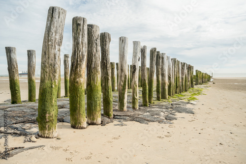wooden poles in the sea