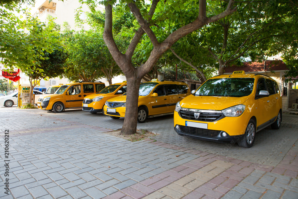 Fototapeta premium yellow city taxis stand in the shade of trees