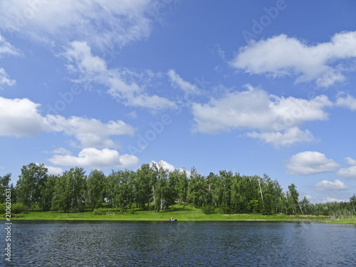 Summer landscape: a beautiful sunny day in the forest on the shore of a calm lake