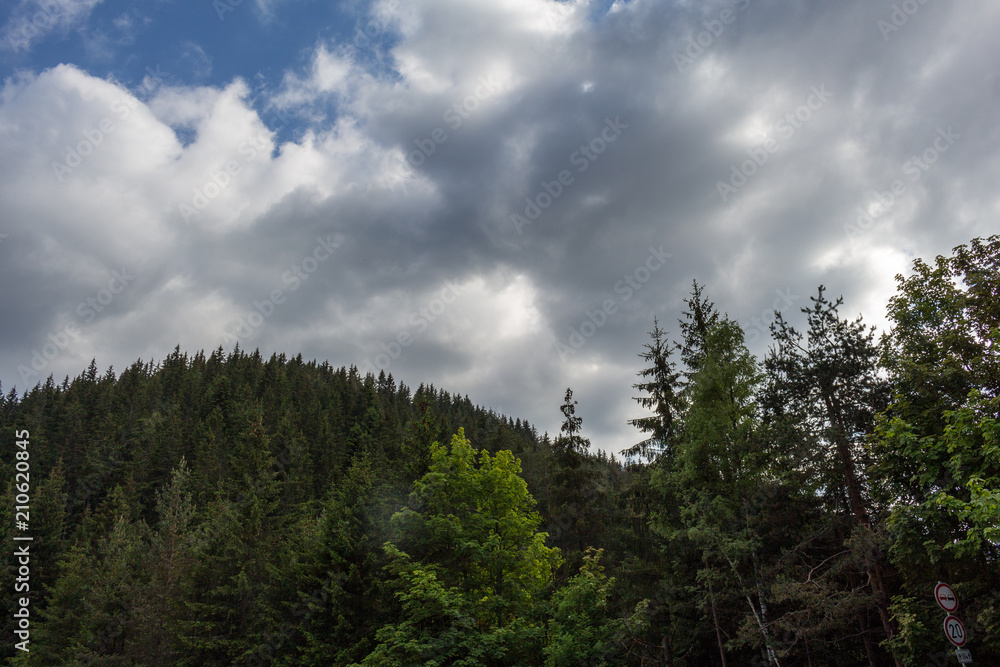 Hill, trees and cloudy sky