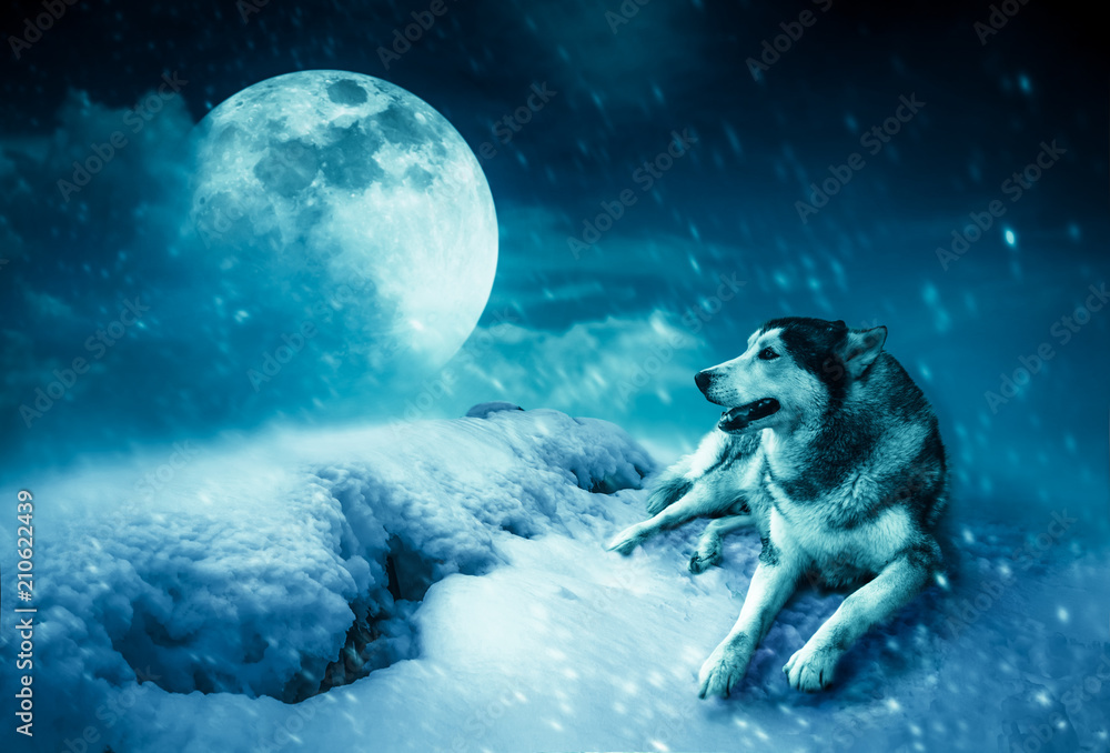 Landscape at snowfall with super moon. Serenity nature background. Landscape at snowfall with super moon. Serenity nature background.