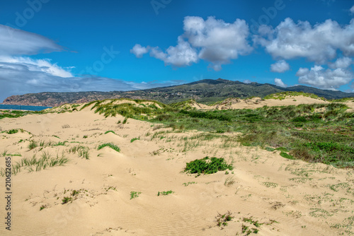 Beautiful white sand dune and grasses under puffy cloud sky