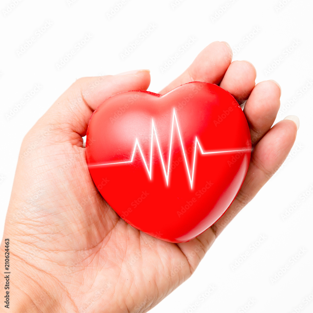 Obraz premium Red heart in the hand. Isolated on white background. Studio lighting.