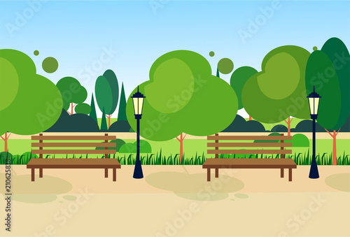 city park wooden bench street lamp green lawn trees template background flat vector illustration
