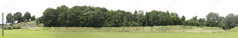 Very high definition Treeline isolated on a white background Very high definition Treeline isolated on a white background