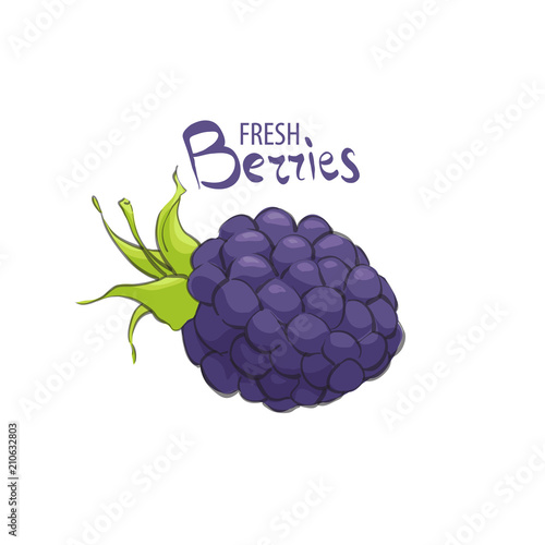 fresh ripe blackberry