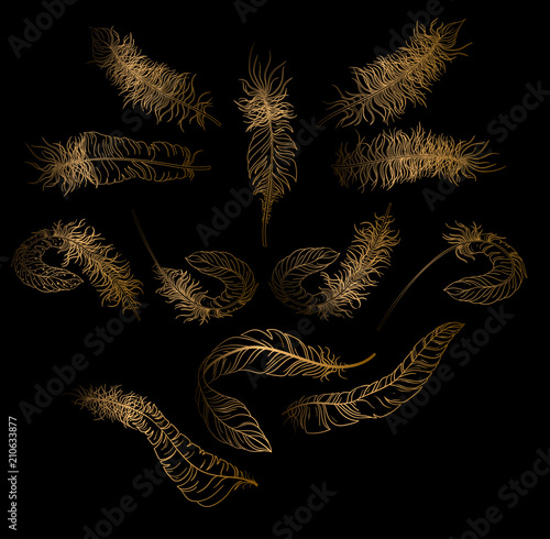 Gold carnival feathers sketches isolated on black.