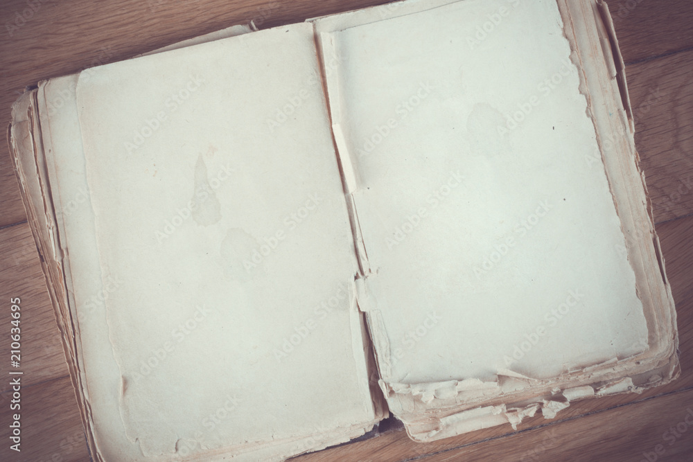 Open old book with blank pages for text Open old book with blank pages for text
