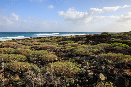 Coast of island Lanzarote, nature background
