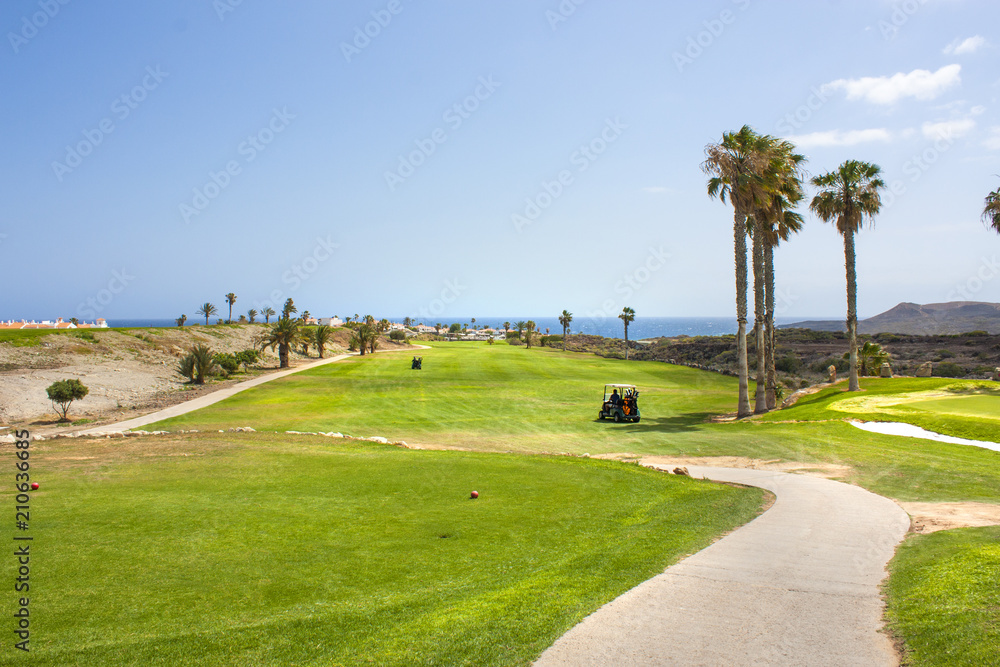 Golf course with golf cart buggies in luxurious beachfront hotel resort near atlantic ocean. Green grass field, palm trees, blue sky and ocean Golf course with golf cart buggies in luxurious beachfront hotel resort near atlantic ocean. Green grass field, palm trees, blue sky and ocean
