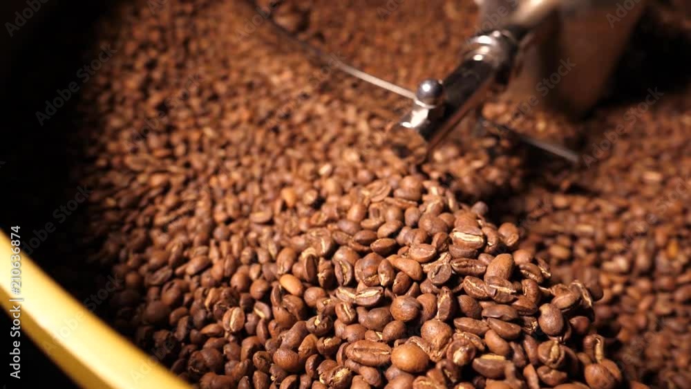 Slow motion coffee beans after been roasted mixing around on a cooling plate of an oven Slow motion coffee beans after been roasted mixing around on a cooling plate of an oven