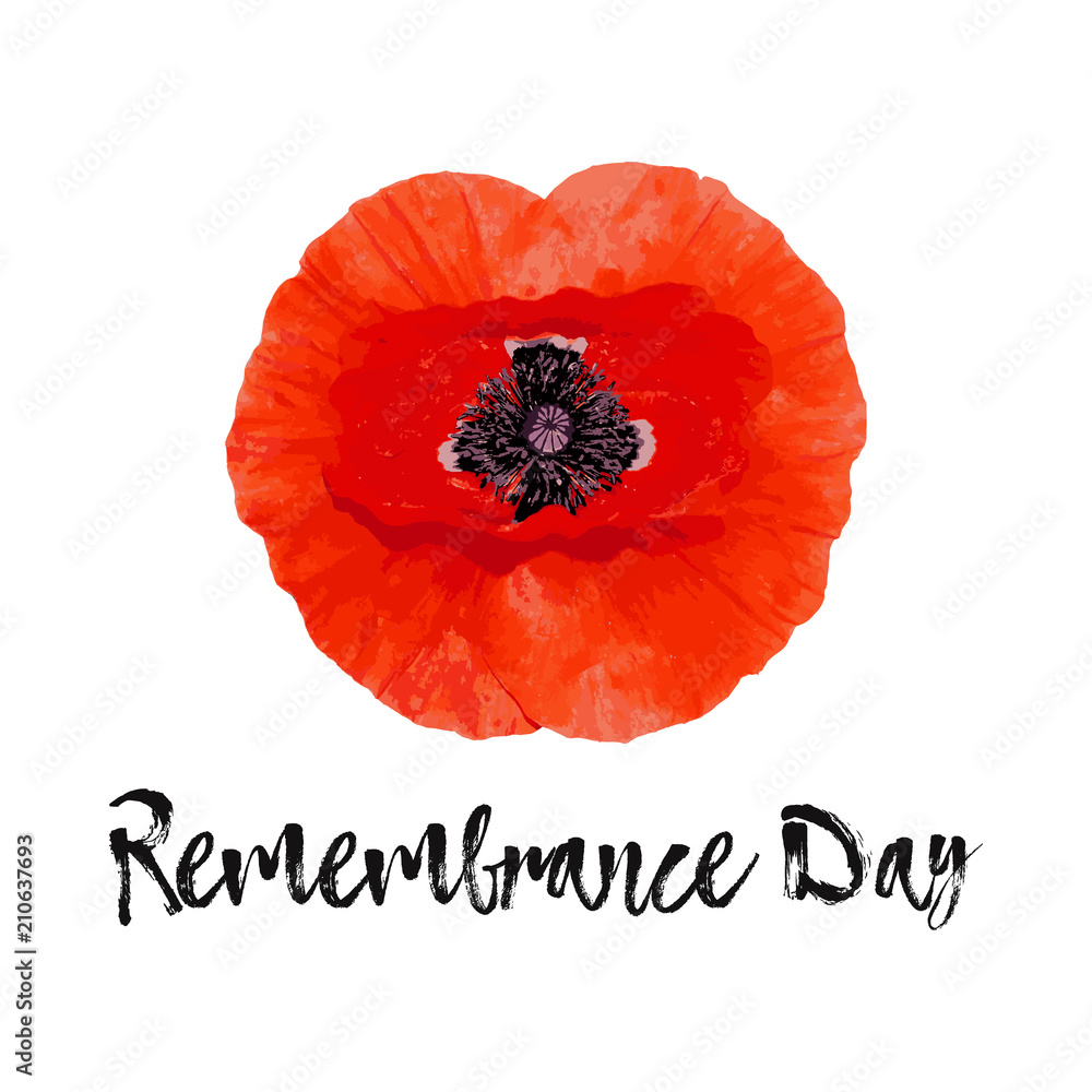 Remembrance Day vector card, banner Anzac Day. - obrazy, fototapety, plakaty 