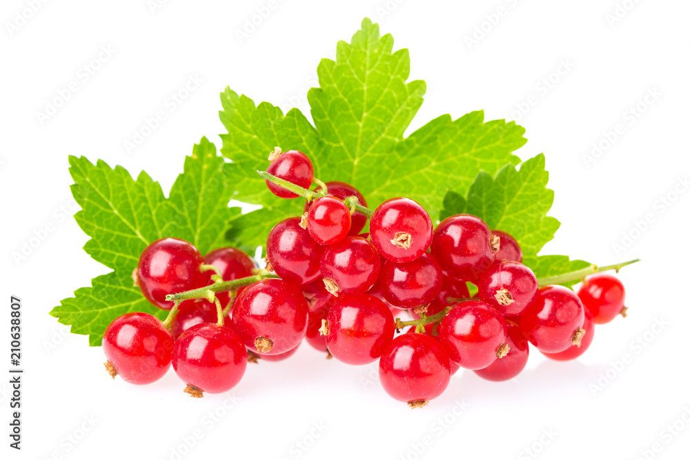Ripe and juicy red currant berries with leaves isolated on white background. Healthy food. Ripe and juicy red currant berries with leaves isolated on white background. Healthy food.