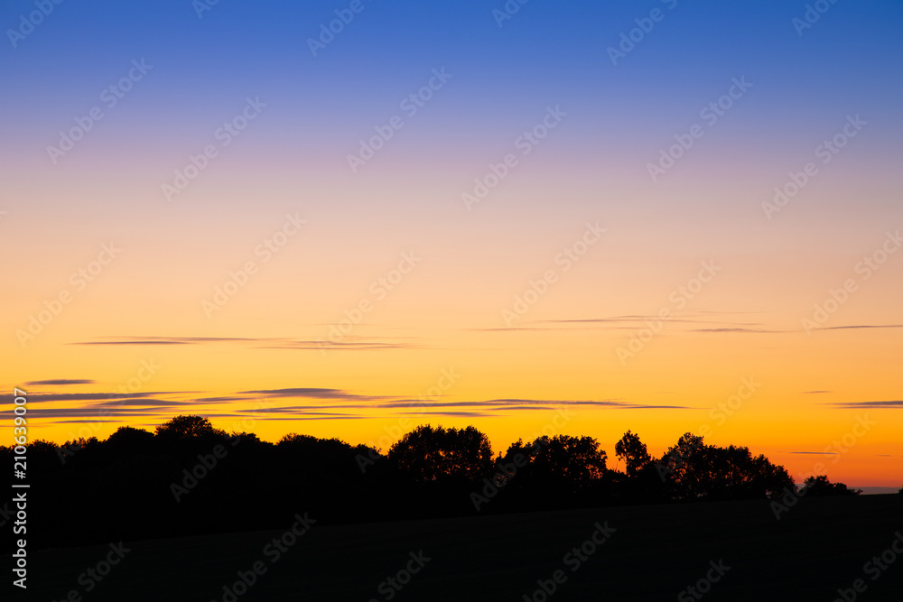 Abendhimmel mit Bäumen am Horizont im Scherenschnitt