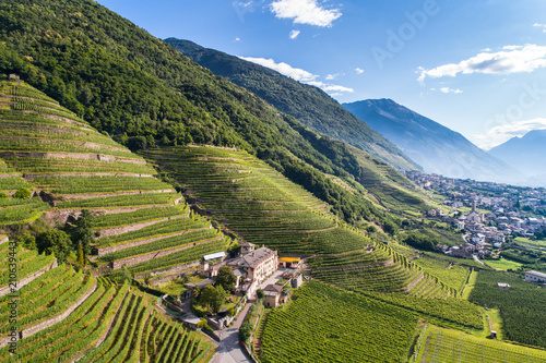 Winery and vineyards, mountain valley. Valtellina. Italian Alps photo