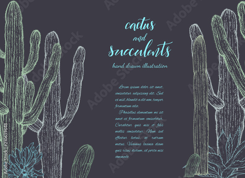 Sketch linear cactus ans succulents