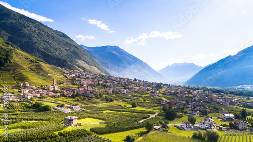 Orchards and vineyards in Valtellina, aerial shot. photo