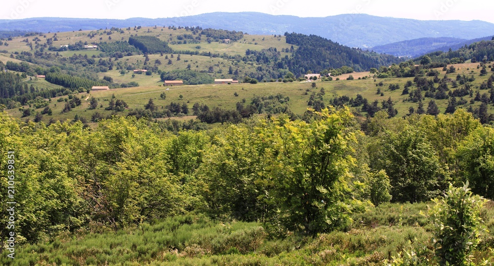 paysages du haut Forez, Auvergne
