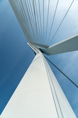 Close up of Erasmus bridge in Rotterdam