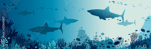 Fototapeta Sharks, coral reef, underwater sea and fishes.