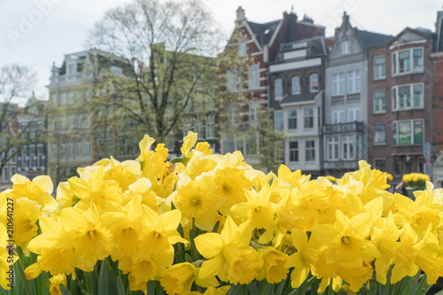 Beautiful view of Amsteram photo