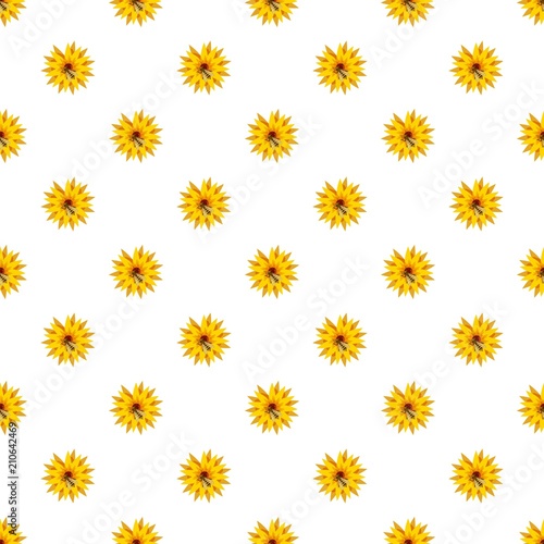 Bee on flower pattern seamless repeat in cartoon style vector illustration