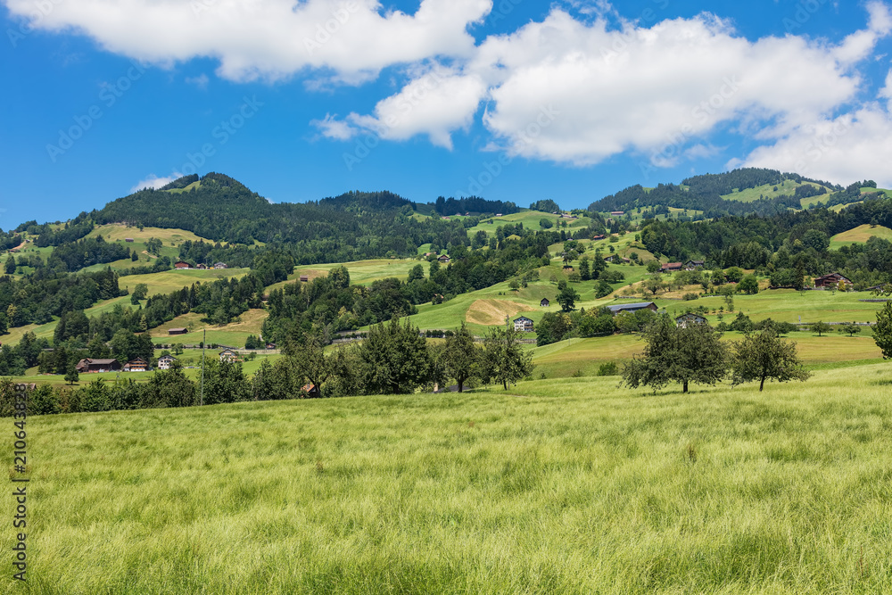 A summertime view in the Swiss canton of Schwyz