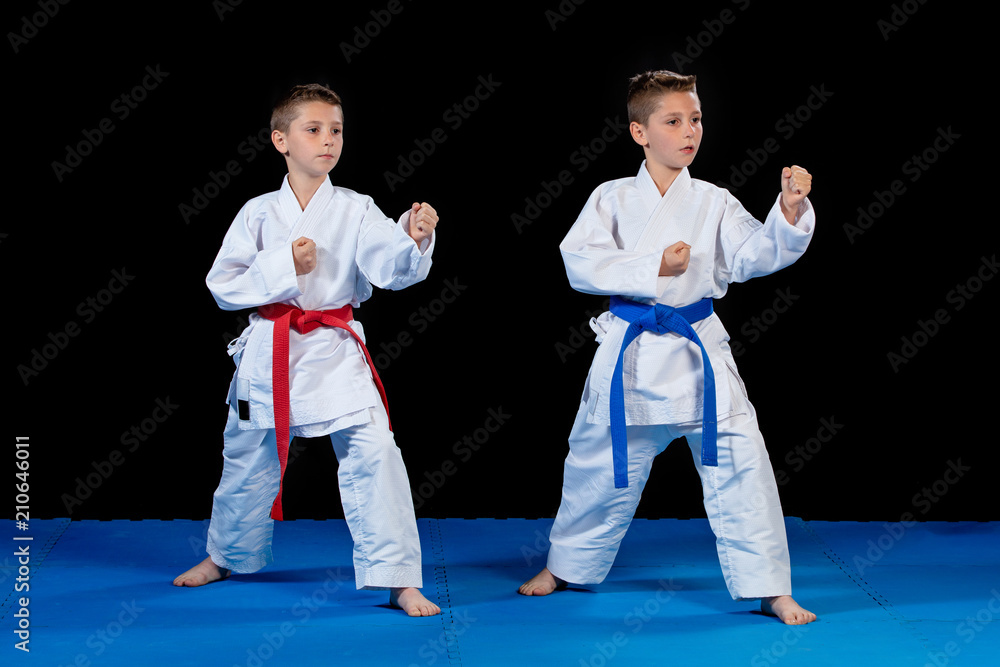 two boys training karate kata exercises at test qualification