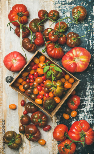 Flat-lay of fresh colorful ripe Fall or Summer heirloom, bunch and cherry tomatoes over rustic wooden background, top view. Local market seasonal produce
