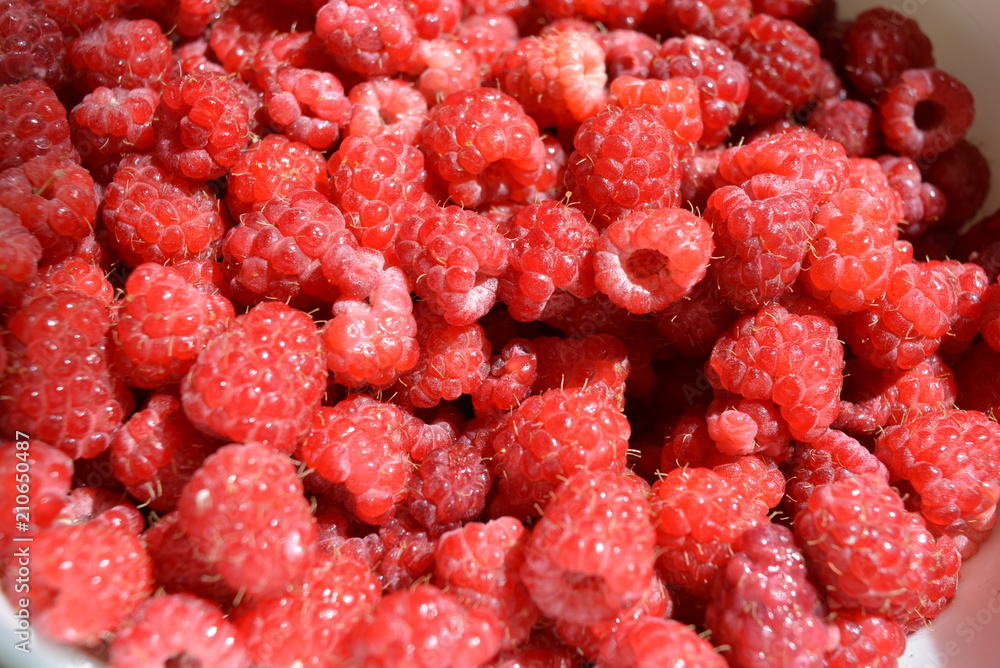 Raspberry from the village washed with water Raspberry from the village washed with water