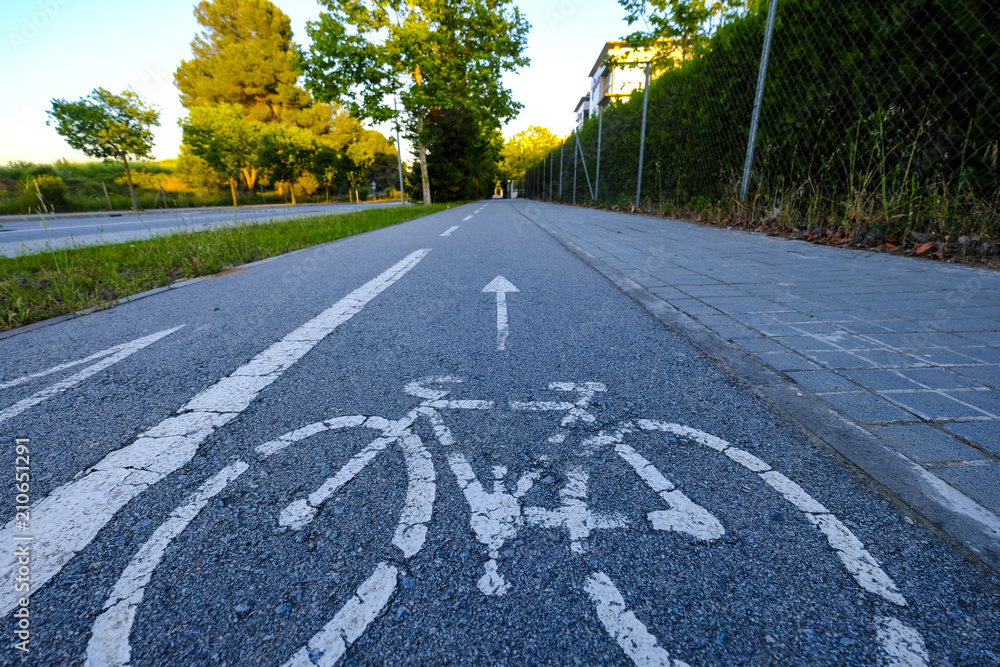 Obraz premium urban road for bicycles