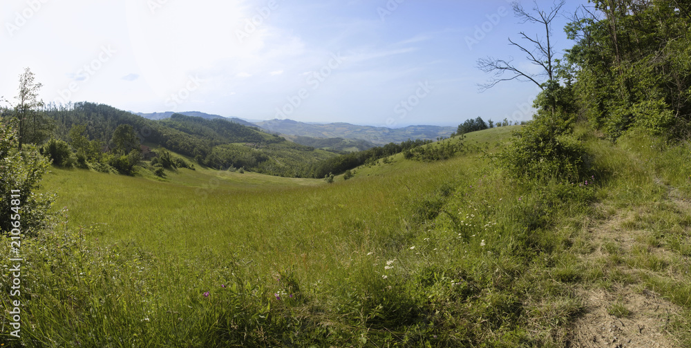 Panorama