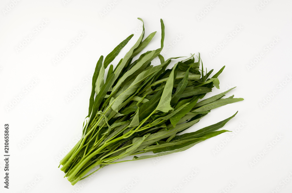 Fototapeta premium 空心菜（クウシンサイ）