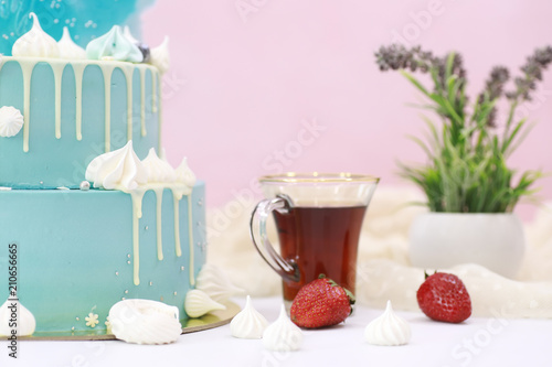 Confectionery flavored cakes for a holiday photo