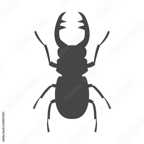 Stag beetle icon, deer beetle © sljubisa