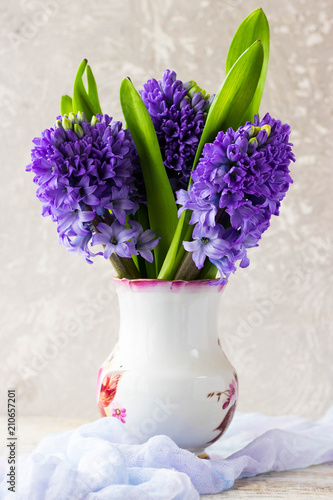 Bouquet of hyacinths on a light background photo