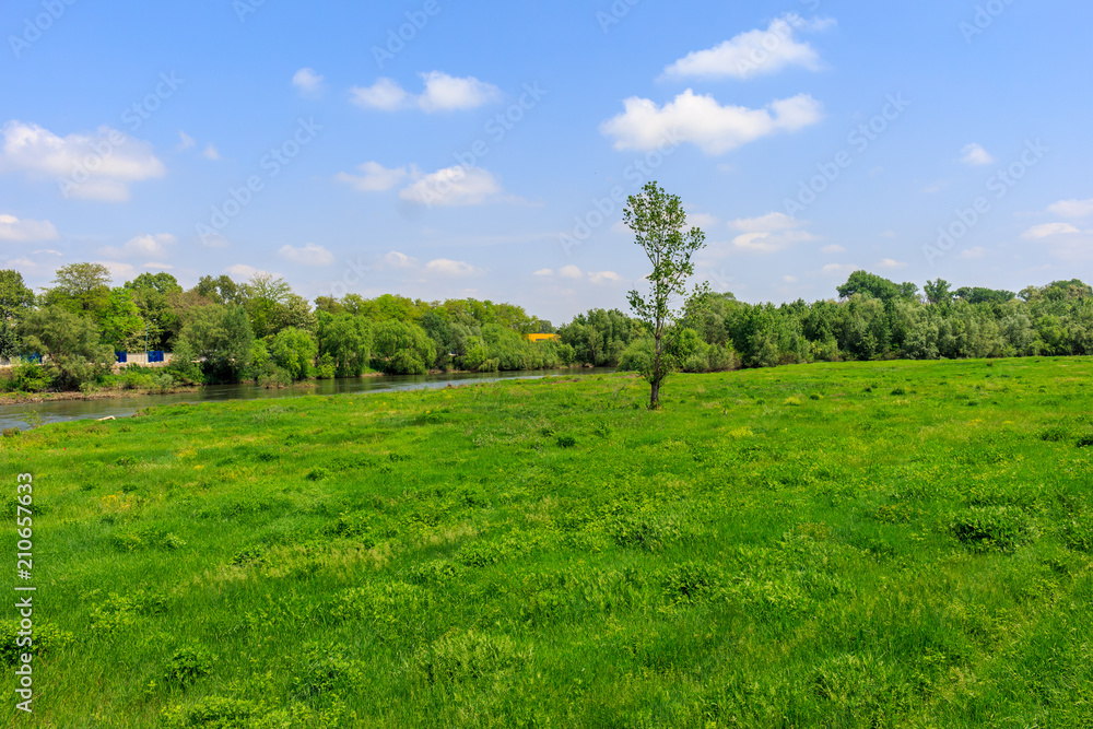 Fototapeta premium River landscape