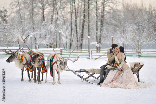 Winter wedding European bridegroom and Asian bride with a harness of reindeer
