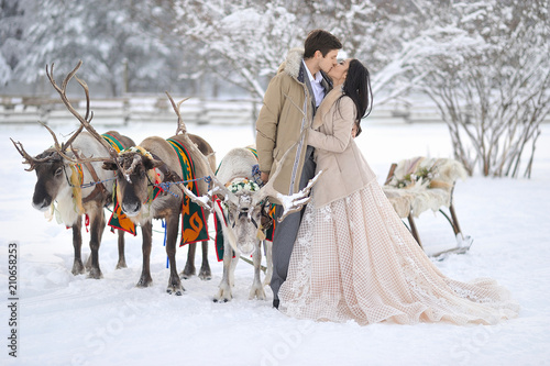 Fotografie Winter wedding European bridegroom and Asian bride with a harness of reindeer