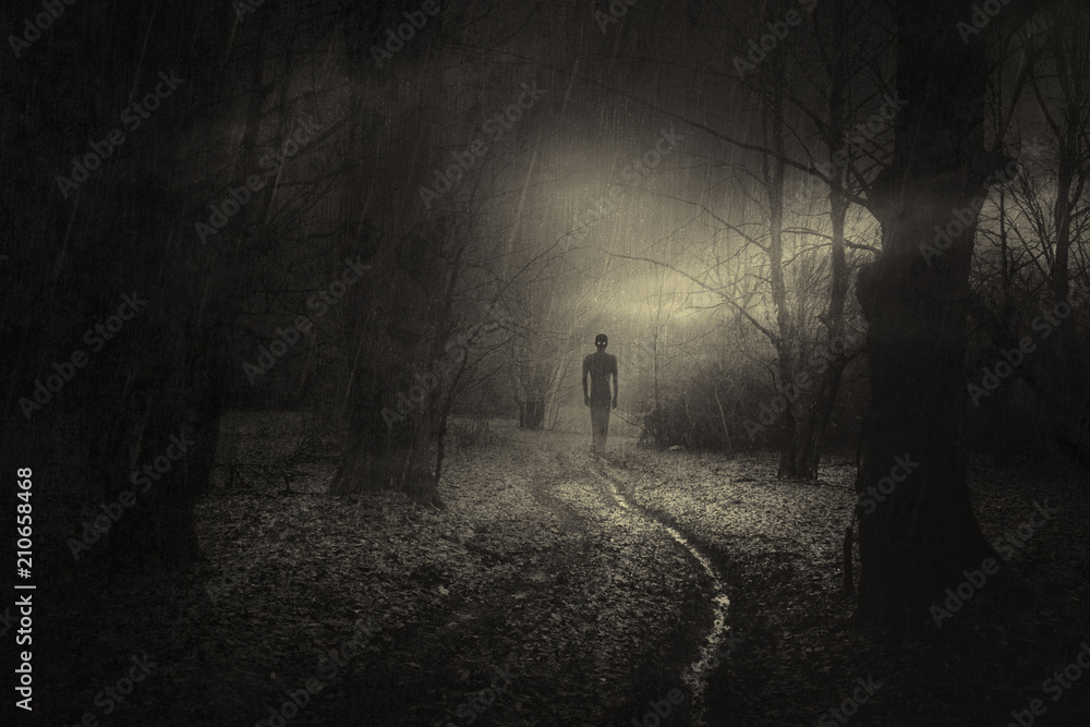 Naklejka premium mroczna straszna zjawa w tajemniczym lesie, horror surrealistyczny krajobraz