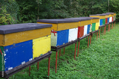 ruches colorées, slovenie
