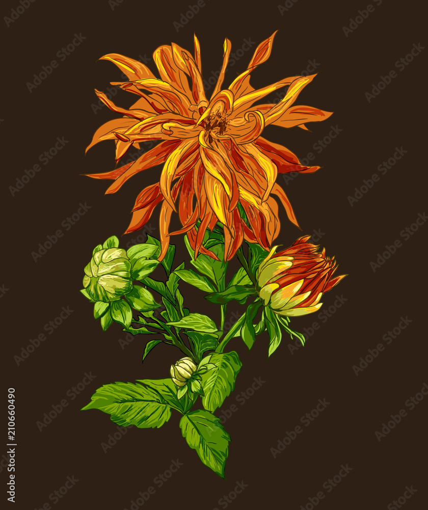 Collection set of hand drawn flowers line art by hand drawing on dark background. Collection set of hand drawn flowers line art by hand drawing on dark background.