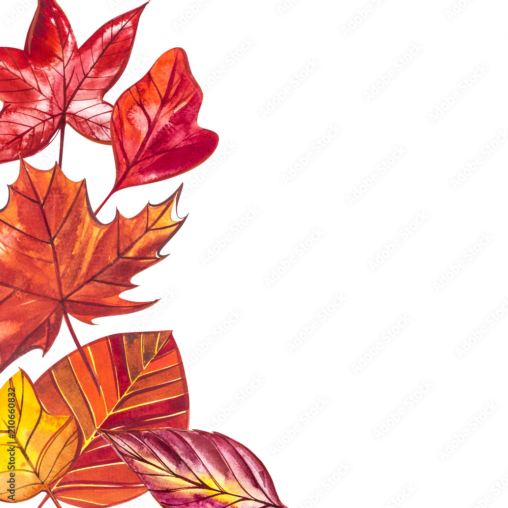 Background watercolor illustration with red, orange, brown and yellow autumn leaves.