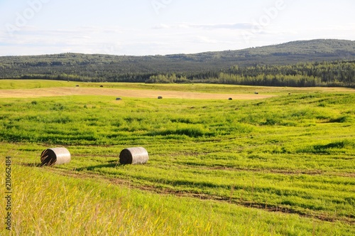 Pasture roll in grass field in Fairbanks, Alaska