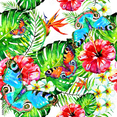 Hawaiian flowers  butterflies  watercolor  exotic plants  isolated on a white