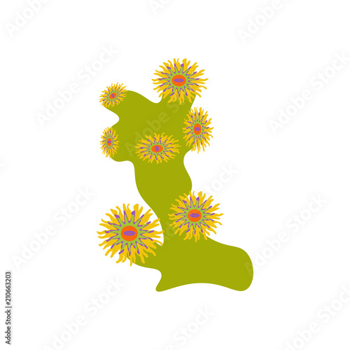 Coral reef illustration