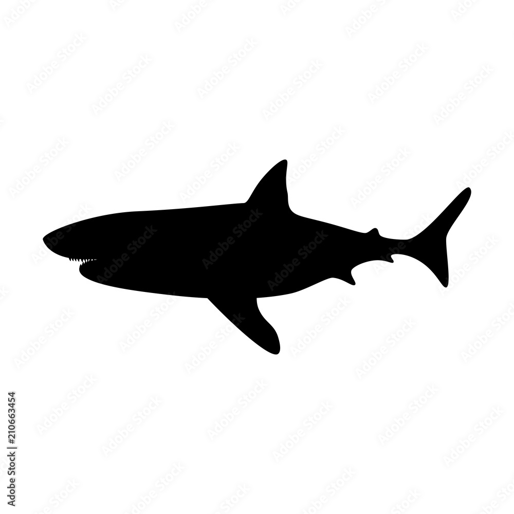 Fototapeta premium Shark silhouette illustration